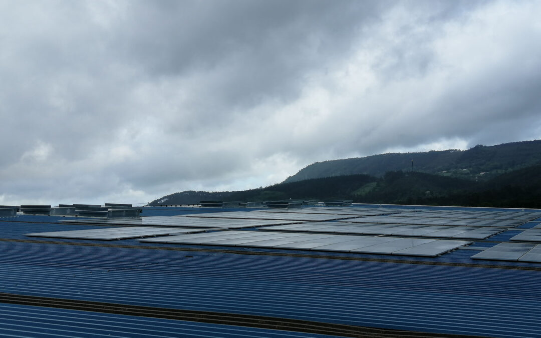 NAVE LOGÍSTICA. LEZAMA. VIZCAYA